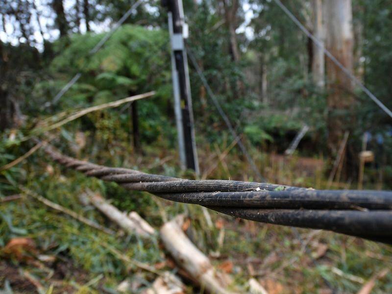 Wild storms in the Dandenongs ten days ago brought down powerlines, cutting supply to many homes.