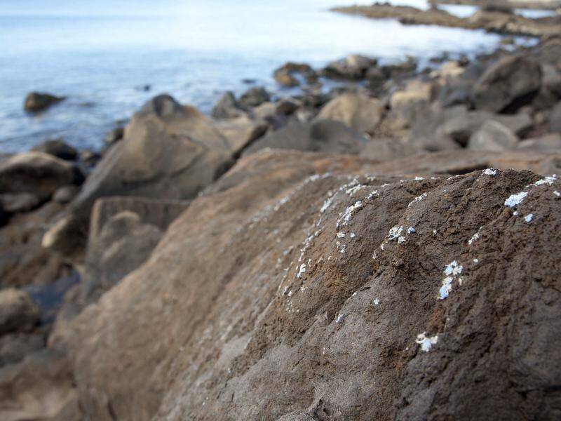 Researchers have identified 'plasticrusts' on the surface of rocks in Madeira island. Portugal.