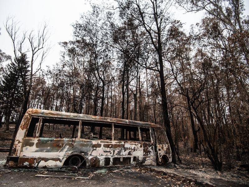 Because of COVID-19, the full economic impact of the bushfires may never be clearly known.