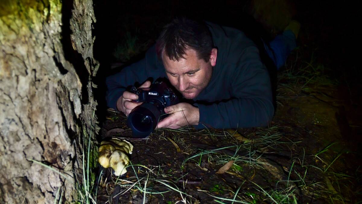 FOCUS: Kurtis Hickling of Hickling Photography in Chiltern sets up the perfect shot of the glowing ghost fungi. Picture: SUPPLIED