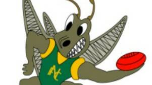 JUNIORS: The Grasshoppers' juniors are ready to go for round eight of the MCDFNL. Picture: FILE