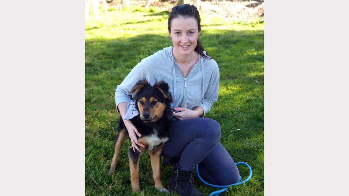 Kayley from Ararat Dog Rescue with Tama, a 14 month old kelpie that is up for adoption.