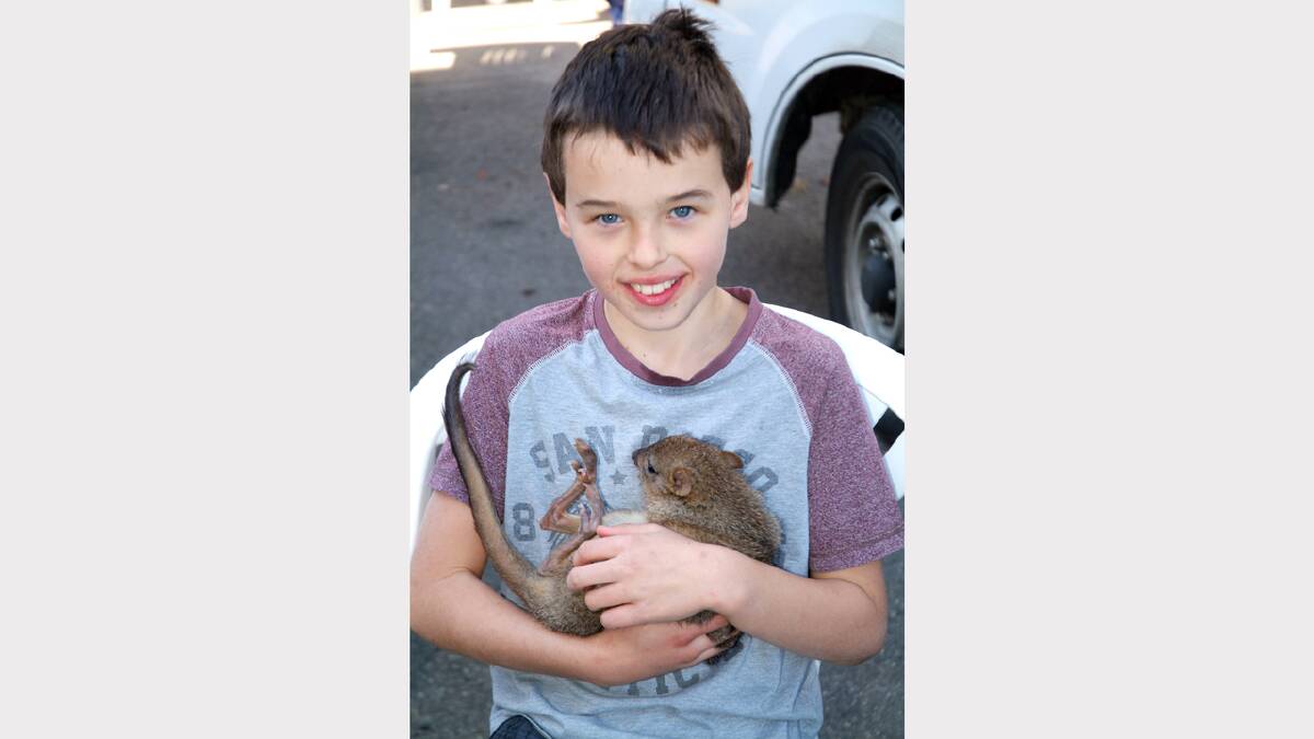 Sam is pictured holding a possum in the petting zoo.
