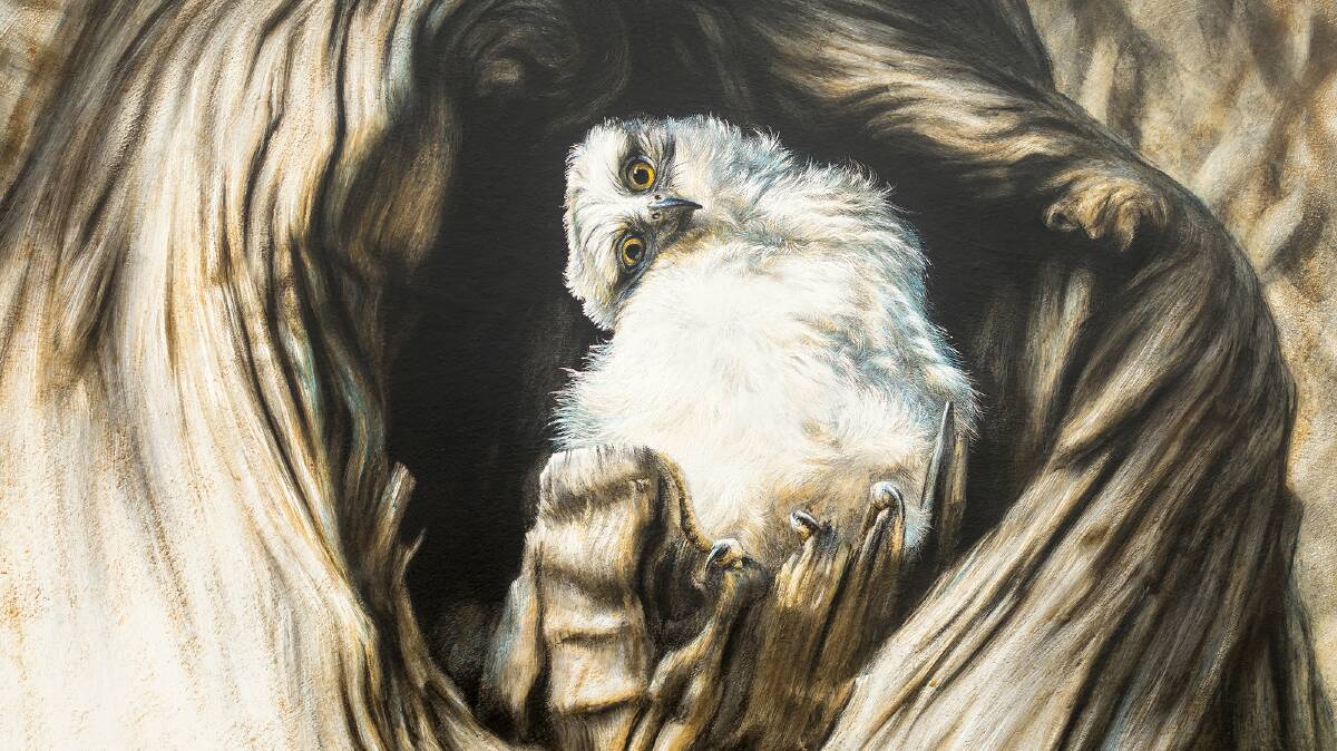 VIRTUAL GALLERY: Steve Morvell's charcoal engraving 'New life from old roots - powerful owlet', 2019. Picture: STEVE MORVELL