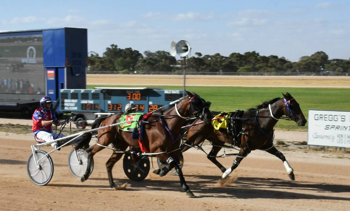 CHANCE: Local chance Perspective (inside runner) will take to the track in Friday night's Ararat Pacing Cup. Picture: Clare Weston