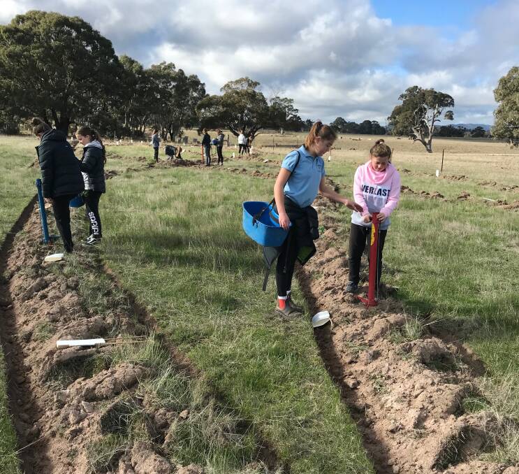 OUR FUTURE: The students from Marion College spent the day working with Project Platypus planting trees in the Black Ranges. A visit to the nearby Bunjil Caves with its Indigenous art was also on the agenda.