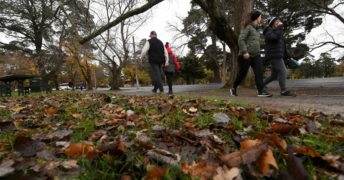 Ballarat autumn weather has both higher rainfall and colder temperatures in 2023