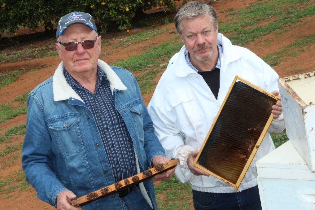 QUIET: Apiarists Les Ellis and Ian Carter hold up the empty frames from beehives destroyed by fipronil spraying. PHOTO: Declan Rurenga