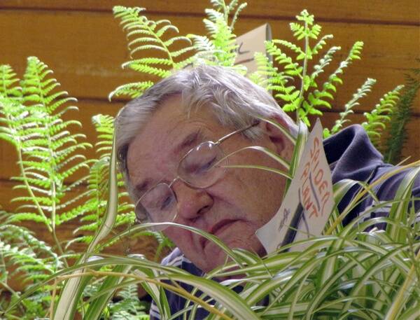 Pomonalite Bill Cave takes time out amongst his ferns for some reading.