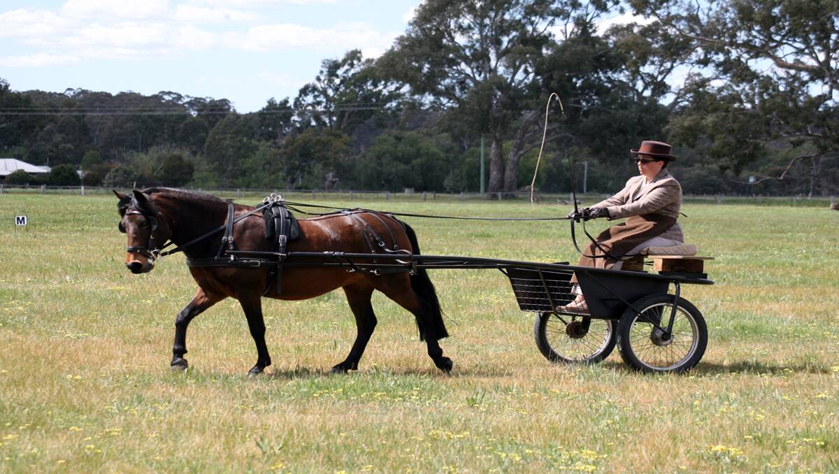 Jog carts are acceptable in harness classes except turnouts.