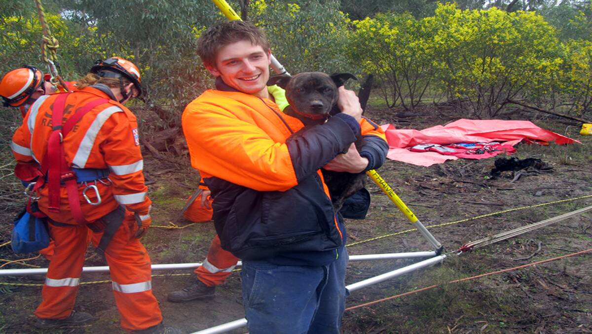 Happy ending...Phillip Need is reunited with his pet Staffordshire, Kiara, after she was rescued from a mine shaft in the Illawarra Forest last Friday.