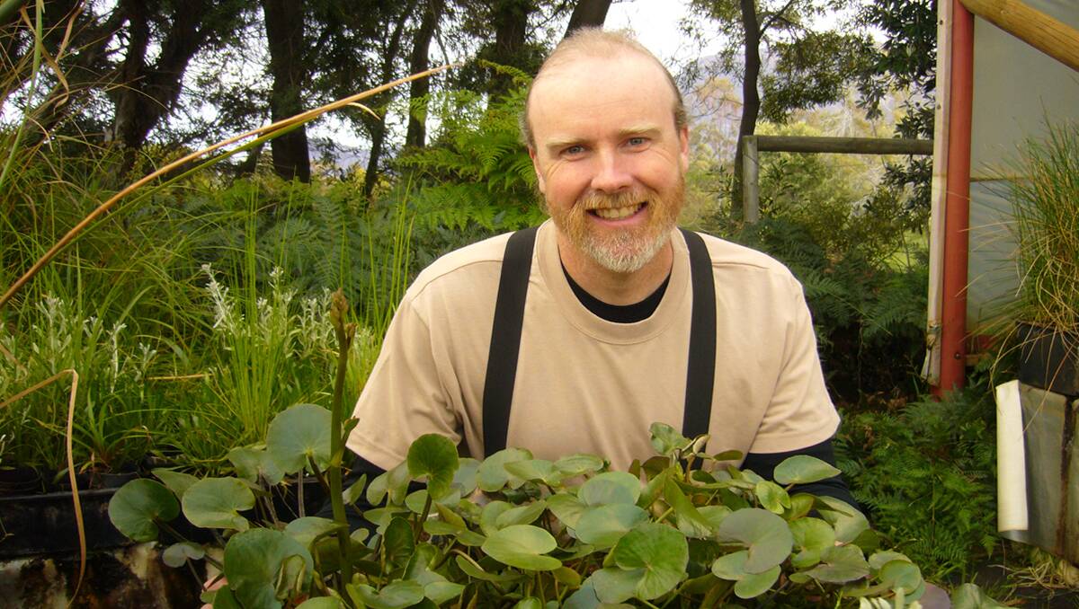 Wetland Plant Nursery owner Aidan Banfield will have an impressive display at this weekend's Pomonal Native Flower Show. 