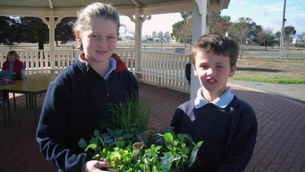 Zoe McGregor and Cody Zielinski are pictured with seedlings for the new Marnoo Primary School garden. 